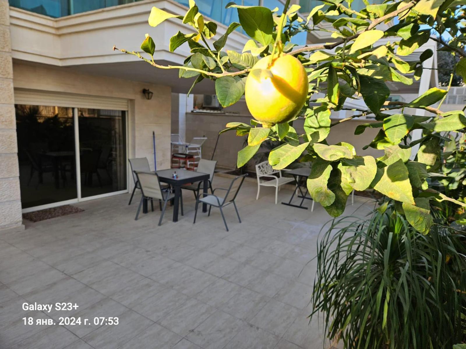 엘라트 Milana'S Deluxe With Big Patio And Pool 아파트 외부 사진